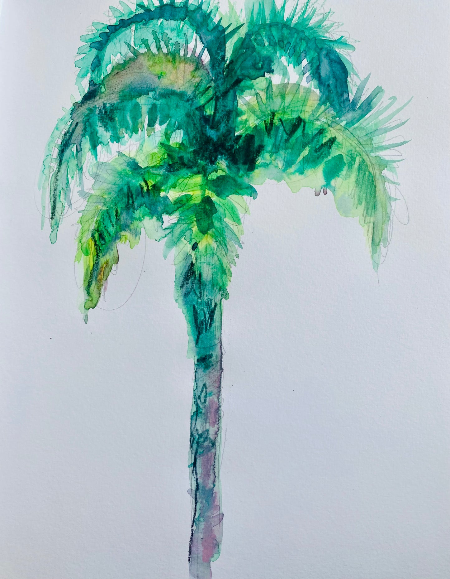 Palm
