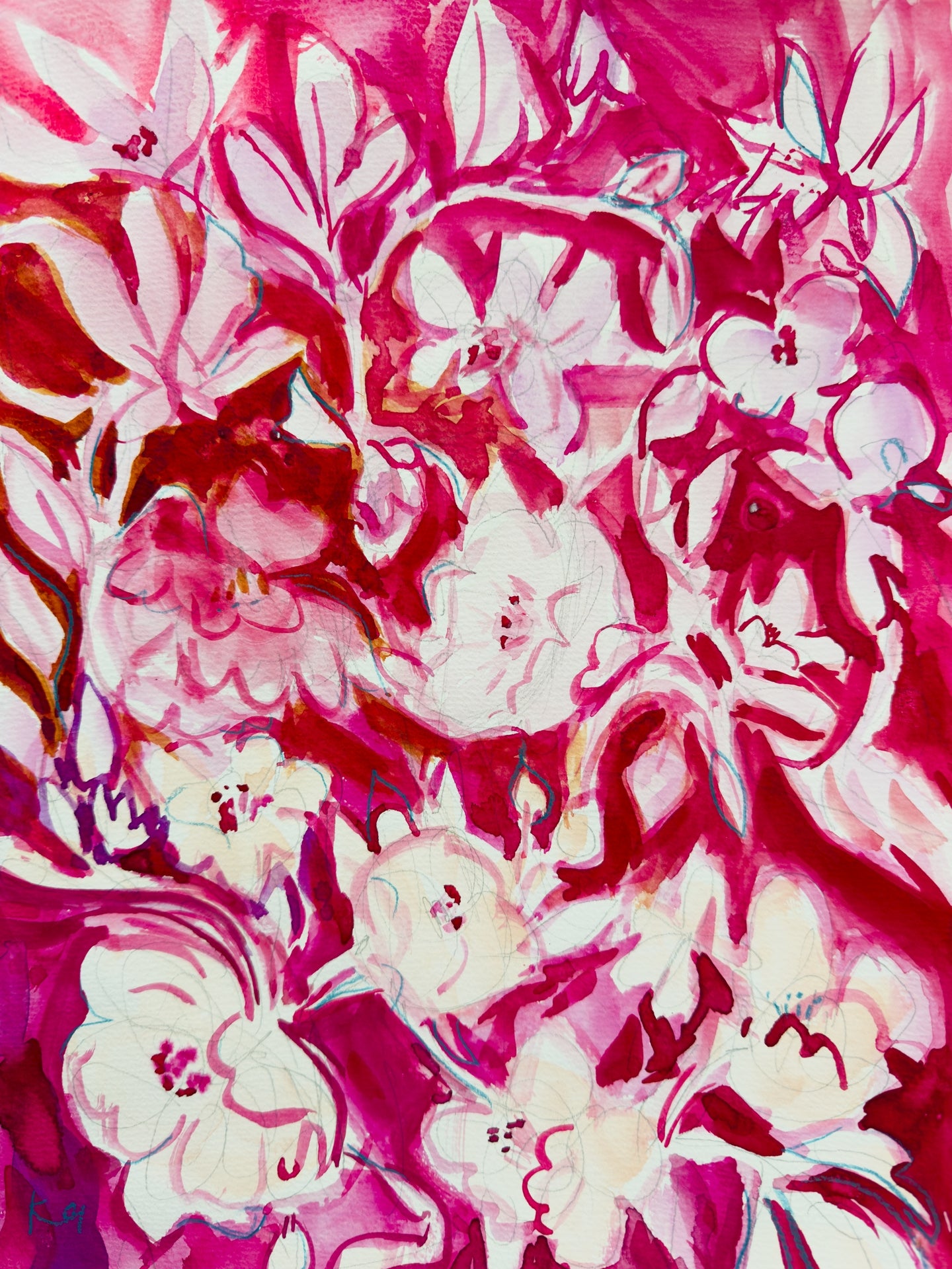 Magenta Roses Print
