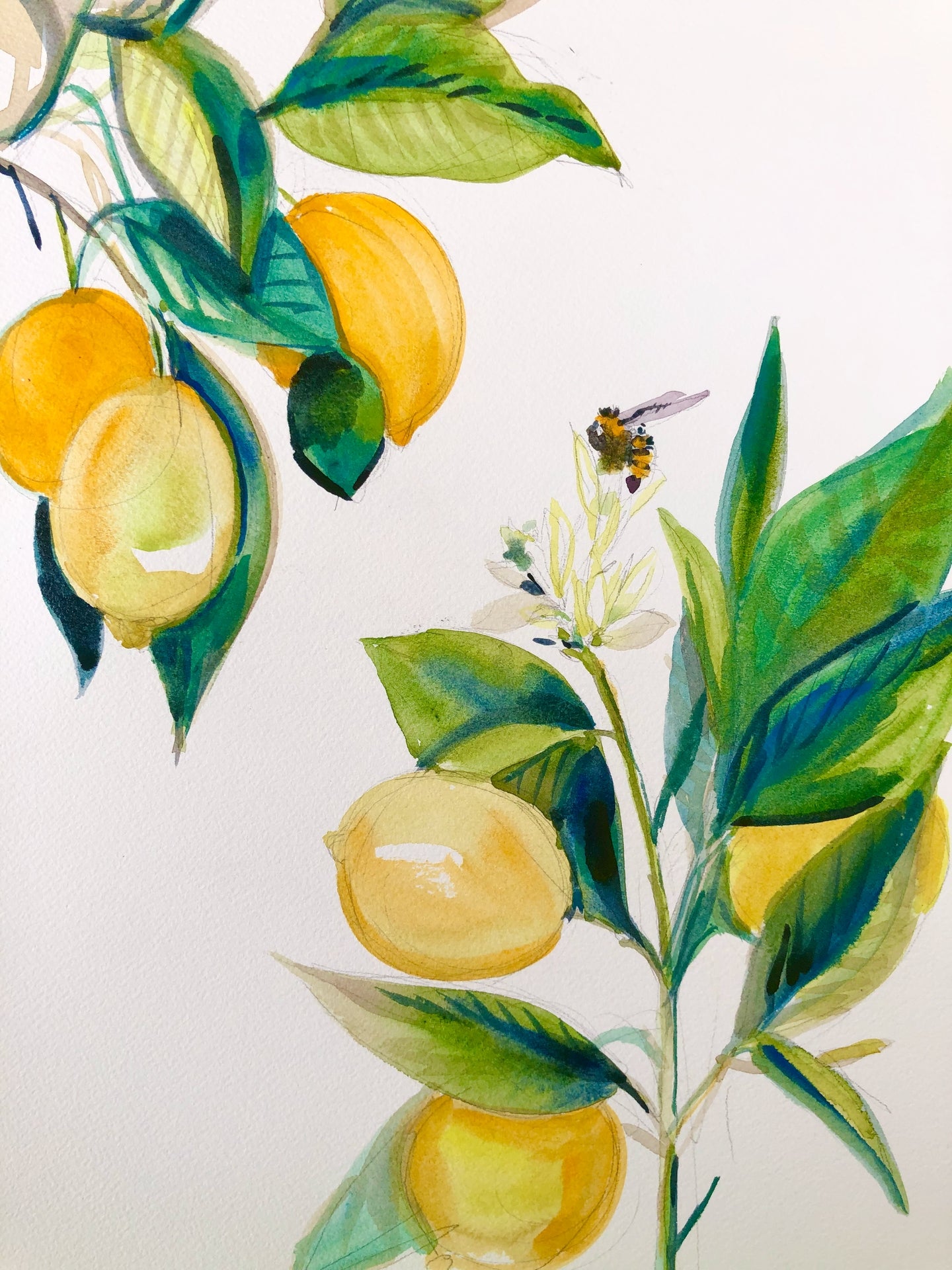 Little Bee Print