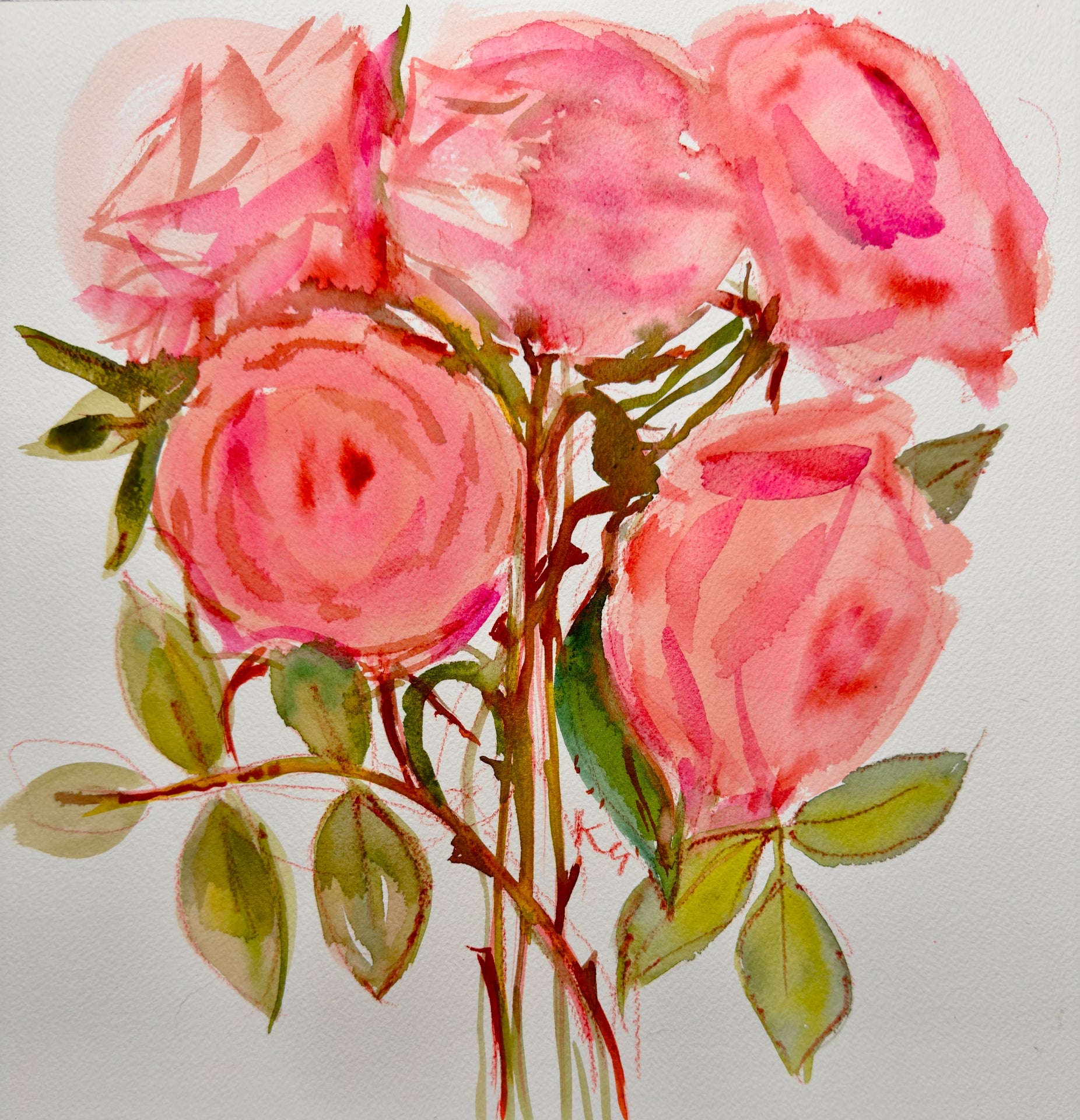 Pink Roses Print